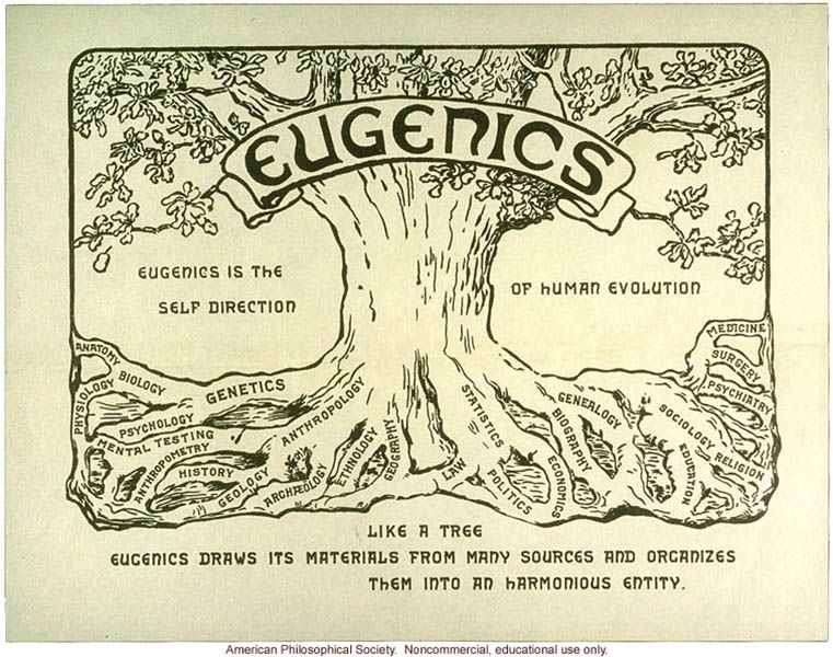 Eugenics Movement fuels nativism and racism